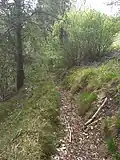 Mount Tavagnone, a glimpse of the trail in the Droanello Valley near the Prandini fund and Bocca della Véna