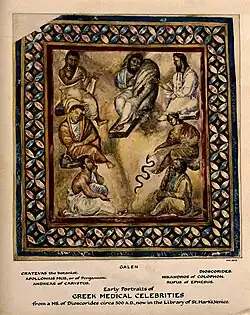 Image 2Seven named physicians and botanists of the Classical world from Vienna Dioscurides. Clockwise from top center: Galen, Dioscorides, Nicander, Rufus of Ephesus, Andreas of Carystus, Apollonius Mus or of Pergamon, Crateuas (from History of medicine)