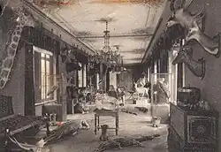 Trophy's gallery