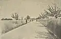 Road to village