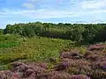 Snelsmore Common Country Park