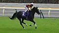 Songline