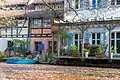 Spree in Cottbus