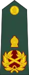 (Sri Lanka Army)[29]