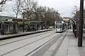 Montempoivre