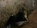 A view down toward the lake in the caves