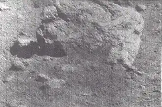 Vesicular fragment about 35&nbsp;cm across, about 7 meters from Surveyor 7