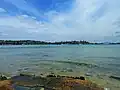 Port Jackson, as seen from Rose Bay