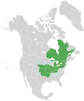 Map of North America with green shading. Data source Brouillet et.al., Flora of North America