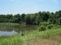 T. O. Fuller State Park