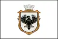 Flag of Tiachiv