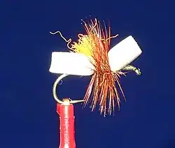 Tan foam ant