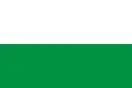 Flag of Tegueste