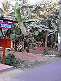 Bus Station at Kolathode, Tenhipalam