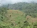 Farm space