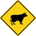 Cattle Crossing