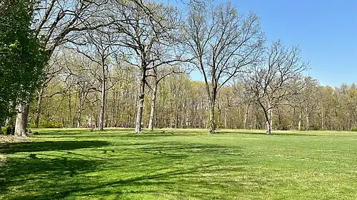 St. Mary's Grove