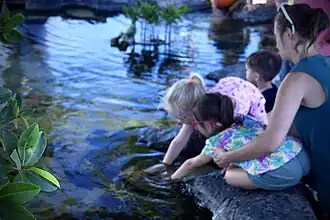 A touch pool.