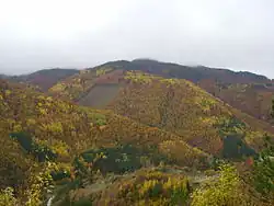 autumn