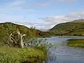 A small fresh lochan above Cuil Bay supporting Mute Swan and a few ducks.