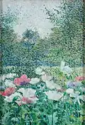 The Poppies