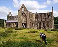Tintern Abbey South