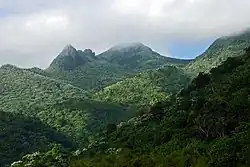 View from Yokahú observation tower