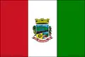Flag of Três Cachoeiras