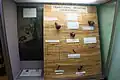 Traditional medicine exhibit