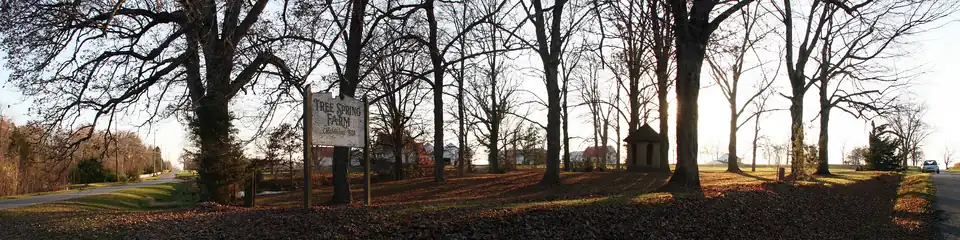 Tree Spring in northeastern Highland Township
