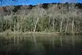Trees on the banks of the River Wye below Little Doward
