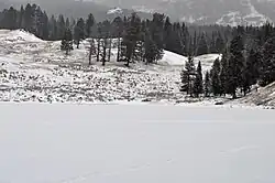 Winter 2009