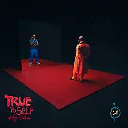 The cover, in a darkish background, depicts King Promise seeing himself in a mirror, which reflects an alternative version of himself. In the bottom-left corner of the cover shows the album's title, True to Self, in all caps.