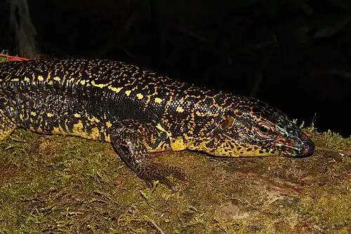 In Ecuador