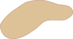 Turk Shahis