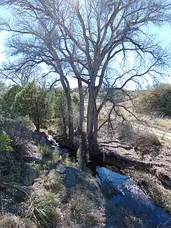 Turkey Creek