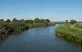 near Doornenburg, the Linge