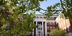 Tydings Building with Chionanthus virginicus