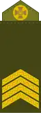 Старший сержант Starshyy serzhant (Ukrainian Ground Forces)[34]