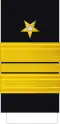 Historical admiral insignia (1866–1869).