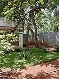 Unmarked graves of Mehmood and Macky Ali at Ali Estates, Yelahanka, Bangalore.