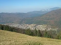 Panoramic view