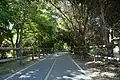 Trail through Foster Park has both the unpaved equestrian path on the left and paved bicycle path on the right