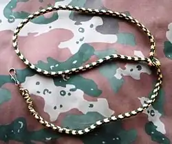 Lanyard