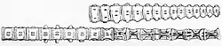 Drawing of vertebrate on a white background