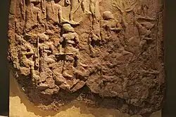 Lower section