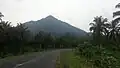 View of Mount Etinde