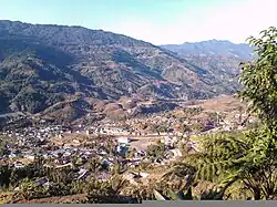 A view of Palin