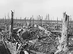 Bellewaarde Ridge, after the battle