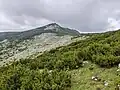 View on Sedlo and Beleg mountain peak
